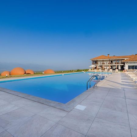 Hotel Qvevrebi Telavi Buitenkant foto